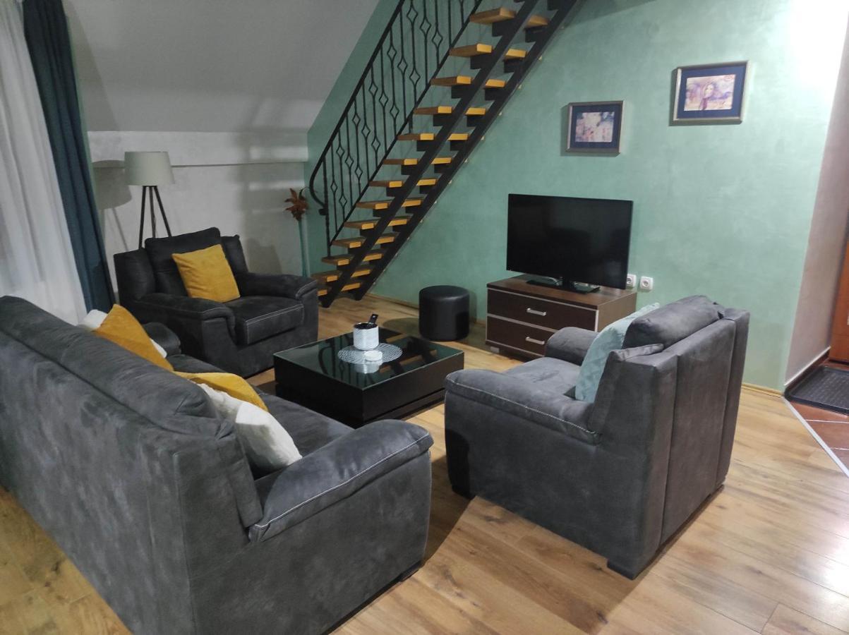 Apartments Vila Knez ズラティボール エクステリア 写真