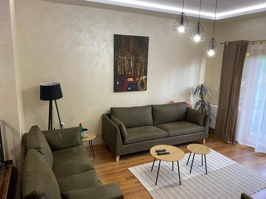 Apartments Vila Knez ズラティボール 部屋 写真