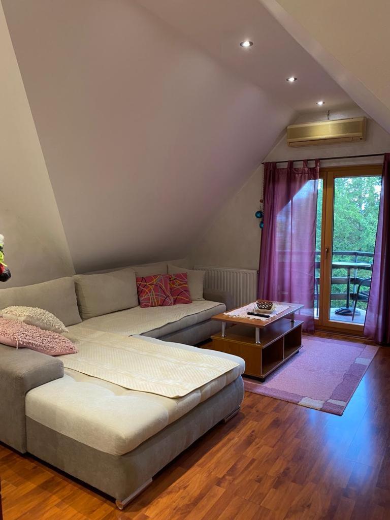 Apartments Vila Knez ズラティボール 部屋 写真