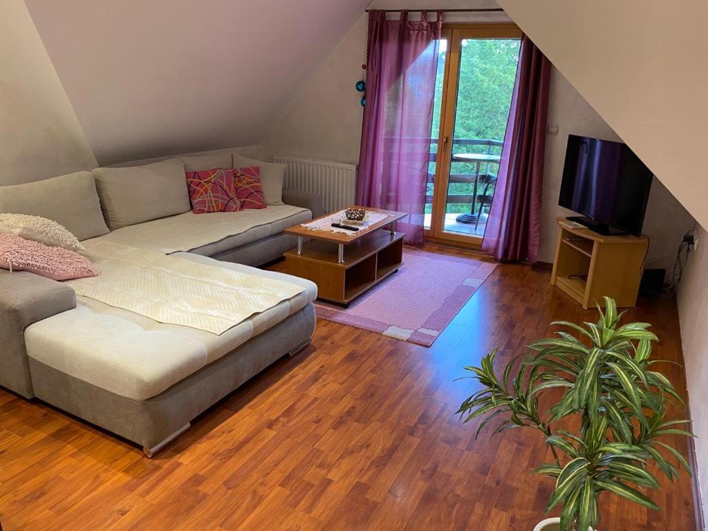 Apartments Vila Knez ズラティボール 部屋 写真