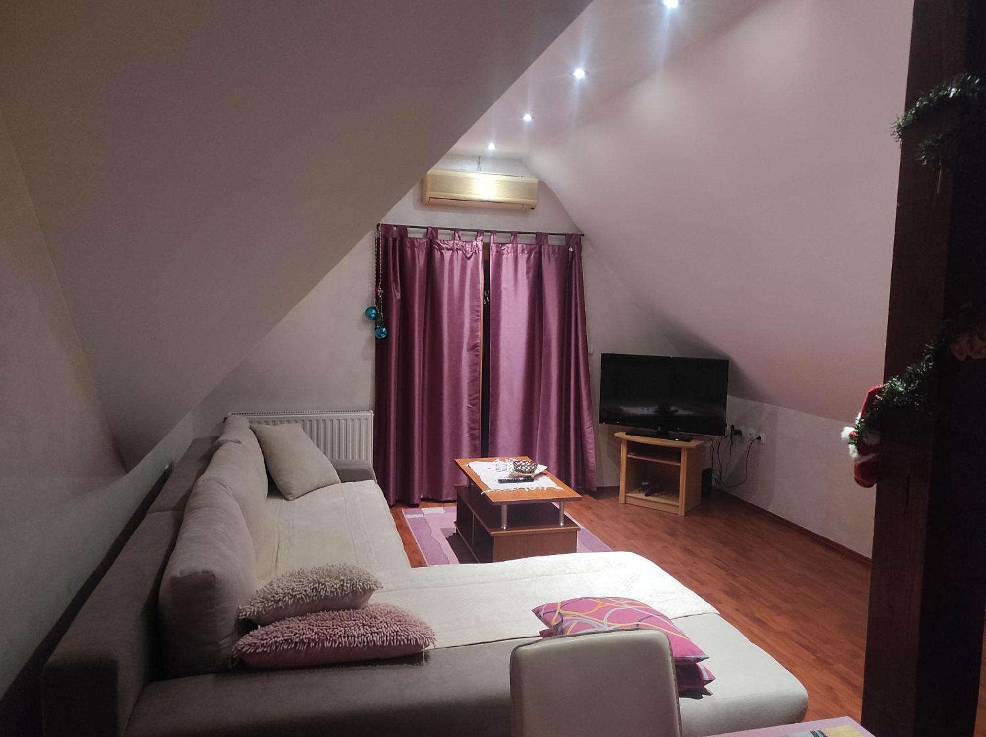 Apartments Vila Knez ズラティボール 部屋 写真