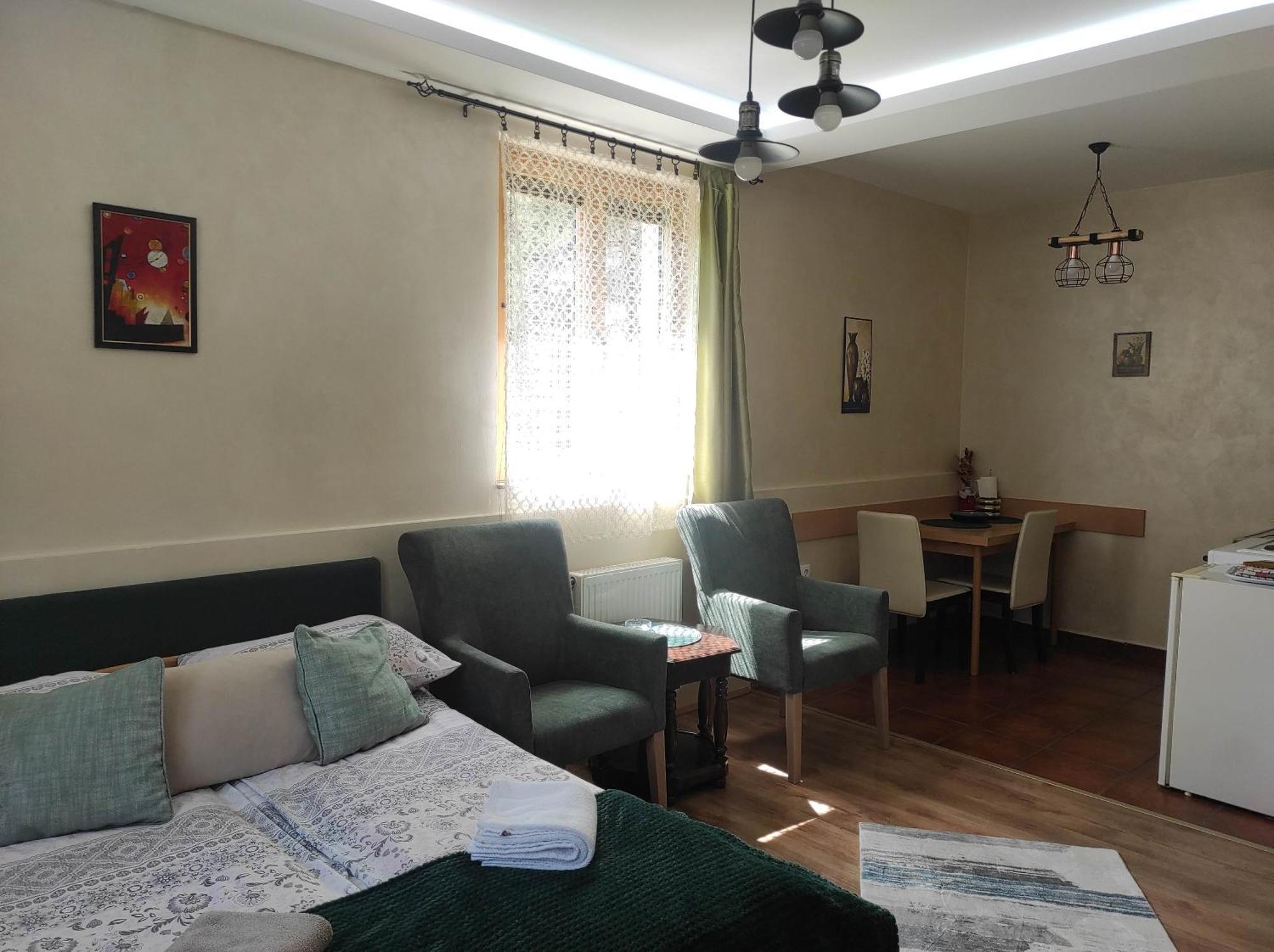Apartments Vila Knez ズラティボール 部屋 写真